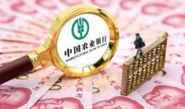 农业银行最新爆料,揭秘金融巨头转型之路